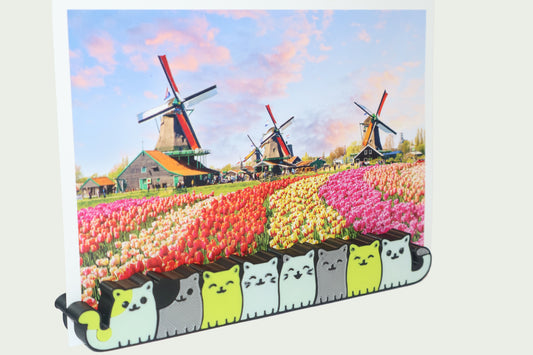 Stand Foto Magnetic cu Pisici – Suport Decorativ pentru Fotografii